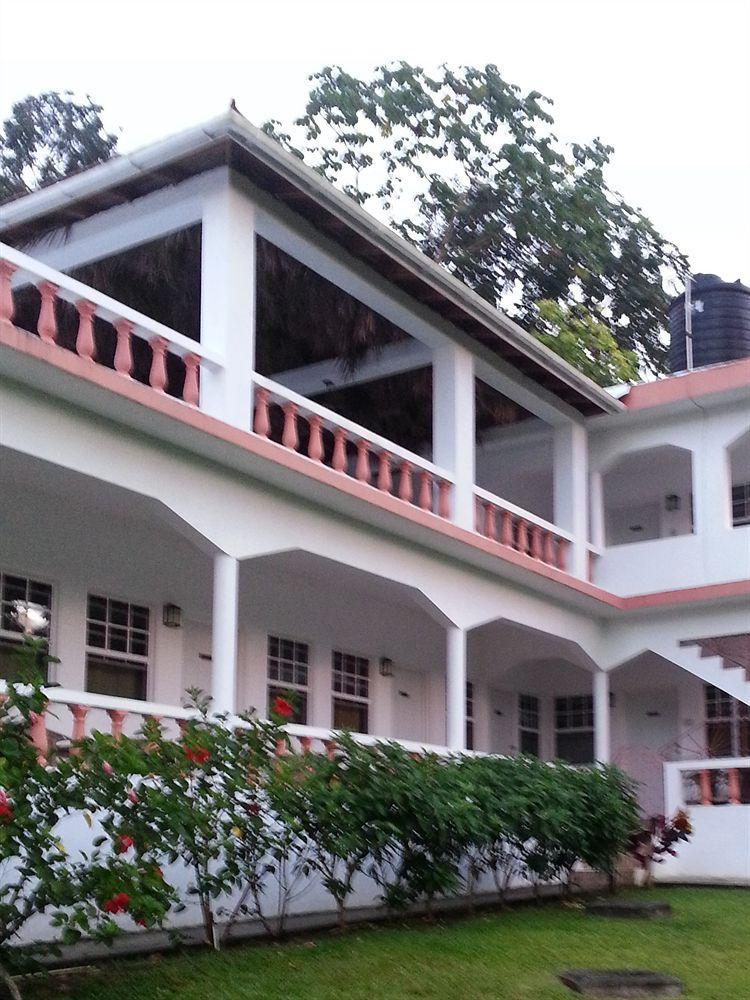 Polish Princess Guest House Port Antonio Exteriér fotografie